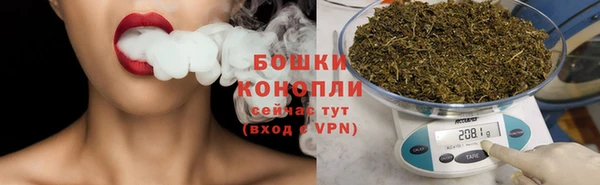 дмт Ладушкин